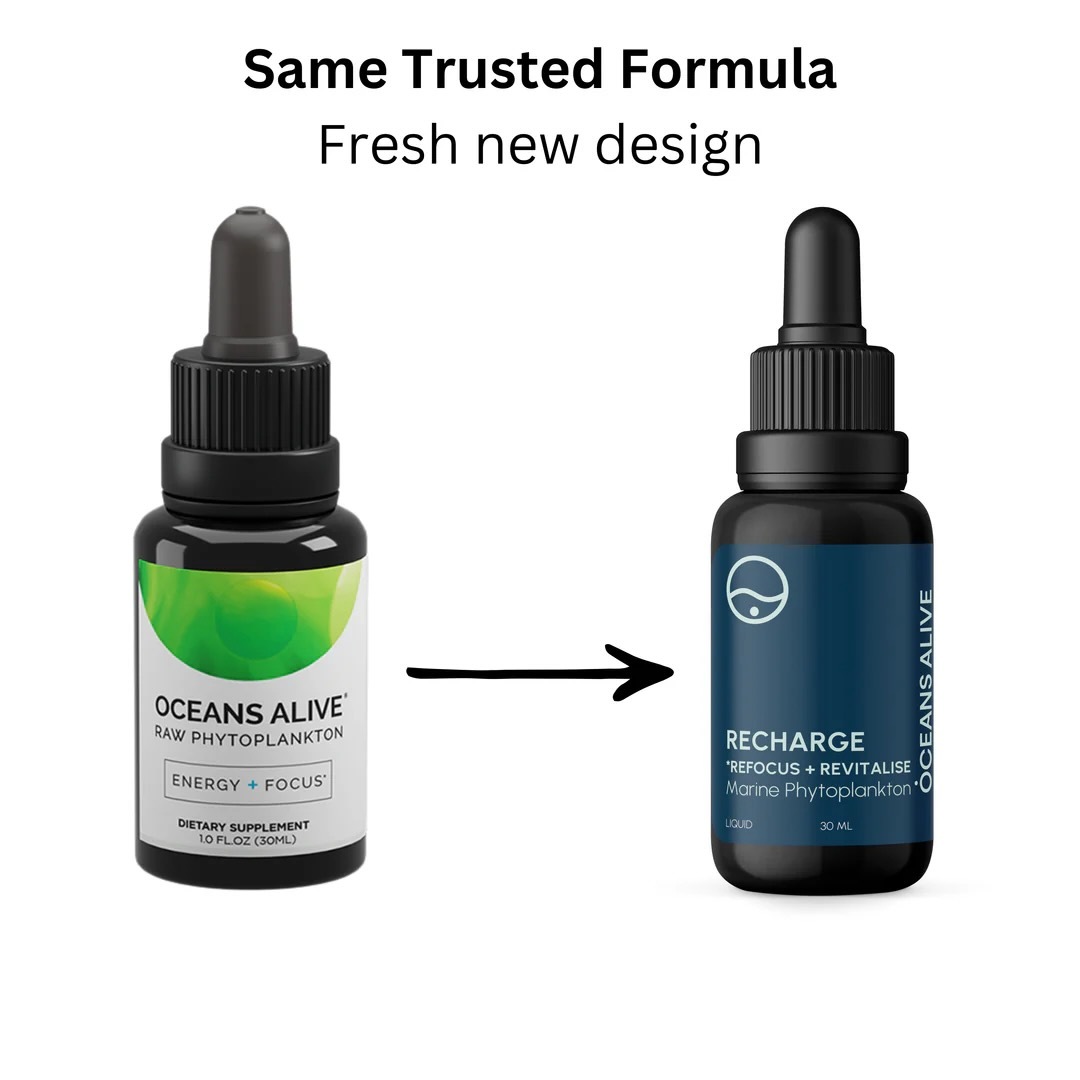 Activation Products Oceans Alive